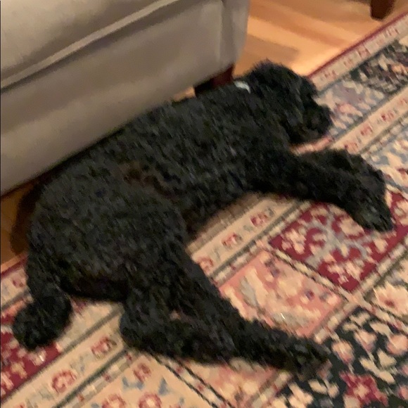 Meet your Posher, Michael - Picture 1 of 1